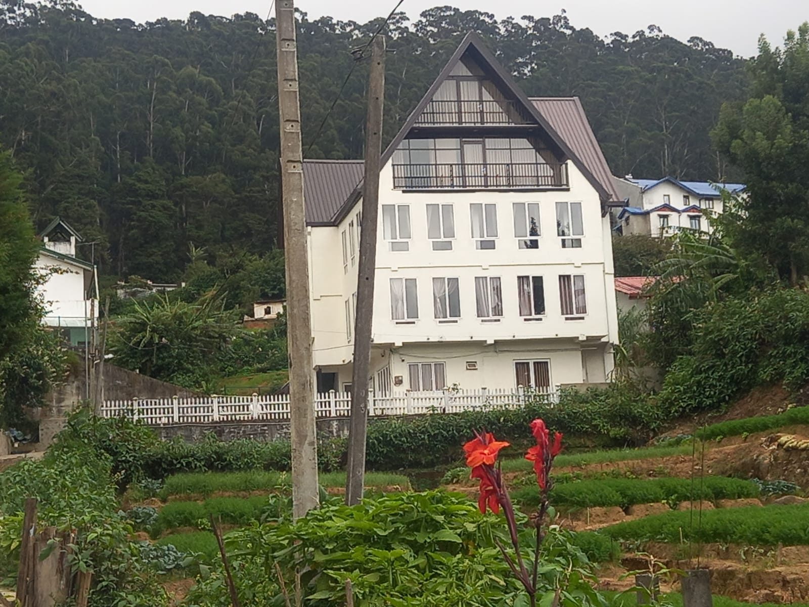Scenic Hills seen across vegetable gardens with the pine forest behind