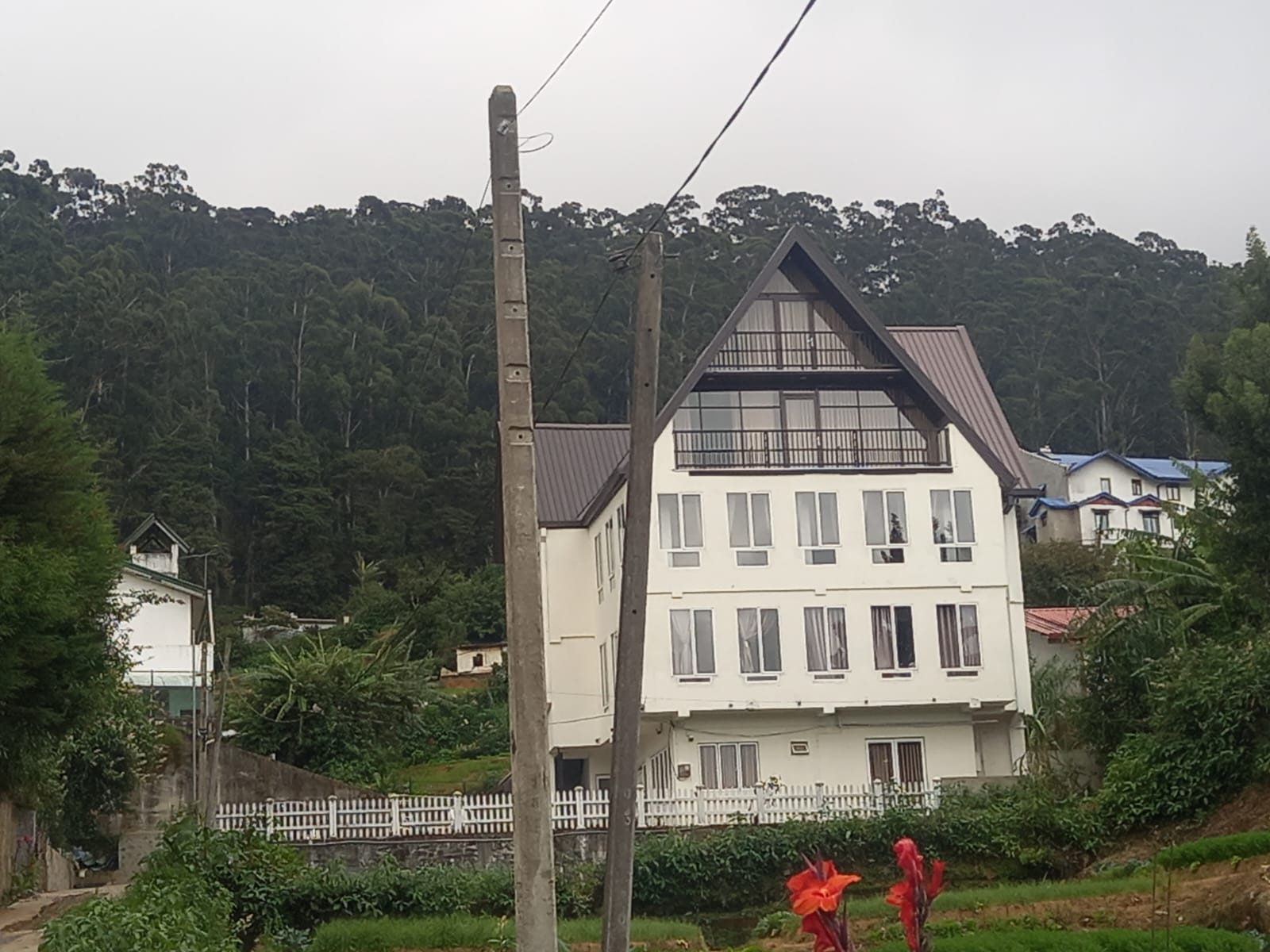 The house with forest behind