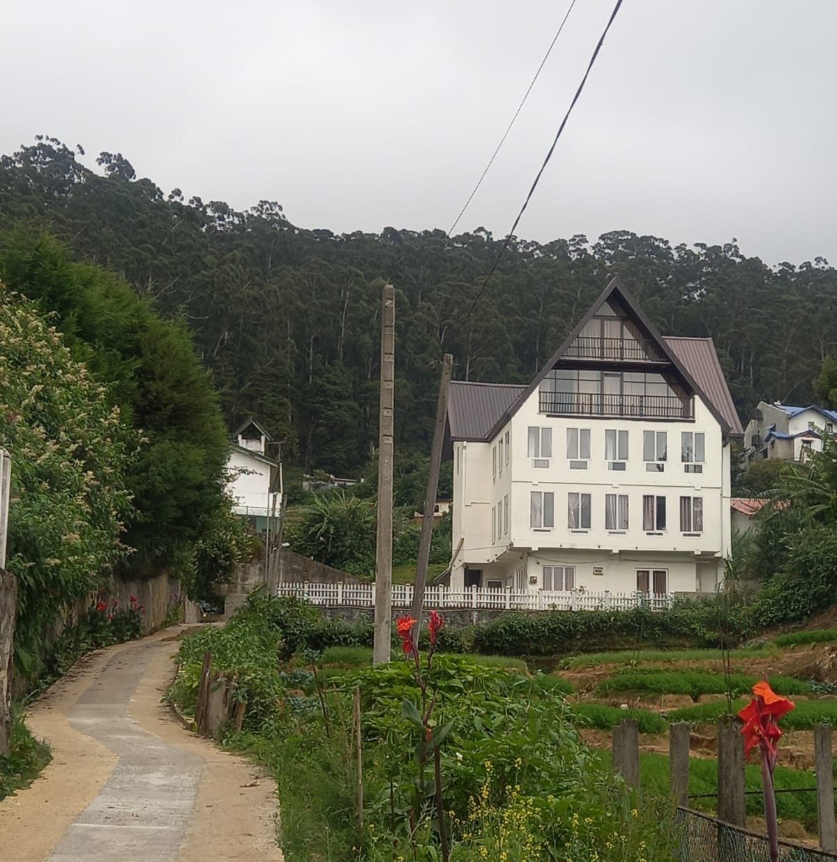 Path leading up to Scenic Hills between vegetable gardens
